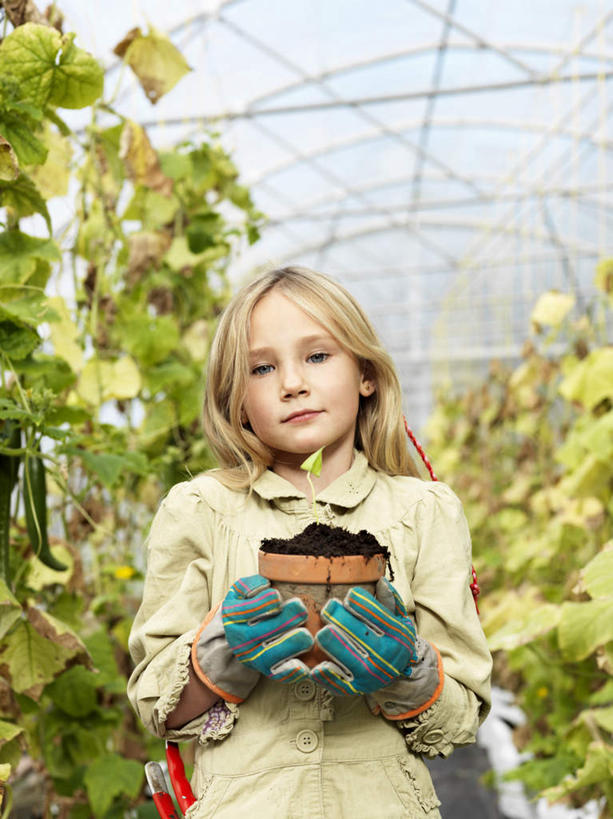 西方人,儿童,一个人,菜园,站,捧,竖图,室内,白天,仰视,纯洁,安全,农作物,田园,植物,叶子,欧洲,欧洲人,仅一个女性,仅一个人,阴影,服装,反射,暖棚,盆栽,影子,泥土,土壤,绿叶,防护,盆景,注视,休闲装,小孩,衣服,绿色,自然,手套,观察,看,站着,仅一个小孩,休闲,休闲服,嫩叶,可爱,童年,童趣,服饰,生长,成长,观看,保护,察看,关注,保险,童真,烂漫,无邪,菜棚,田庄,保全,周全,安稳,安定,防护手套,平安,天真,女孩,女人,女性,白种人,孩子,叶,叶片,端,端着,捧着,手捧,站立,半身,彩图,低角度拍摄,女生