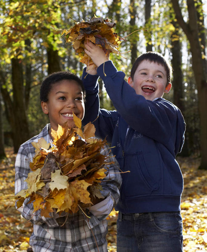 西方人,儿童,两个人,伙伴,朋友,站,举,捧,笑,微笑,露齿笑,竖图,室外,白天,正面,友谊,纯洁,植物,叶子,欧洲,非洲,黑人,欧洲人,一堆,许多,握,阴影,堆叠,堆积,服装,光线,影子,枯叶,落叶,很多,拿,拿着,注视,休闲装,树,树木,小孩,衣服,绿色,阳光,自然,观察,看,托,站着,休闲,休闲服,可爱,童年,童趣,握着,服饰,生长,成长,观看,堆,察看,关注,童真,烂漫,无邪,天真,友情,男孩,男人,男性,白种人,非洲人,叶,叶片,端,端着,举起,举手,举着,捧着,手捧,向上举,向上伸,向上托,站立,半身,彩图,男生