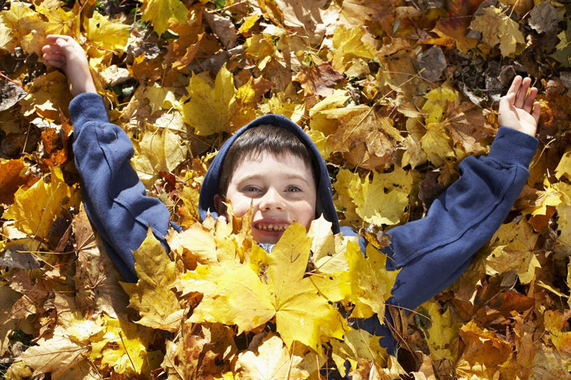 西方人,儿童,一个人,躺,举,笑,微笑,露齿笑,横图,俯视,室外,白天,纯洁,植物,叶子,欧洲,欧洲人,仅一个男性,仅一个人,阴影,服装,光线,影子,枯叶,落叶,注视,休闲装,树,树木,小孩,衣服,绿色,阳光,自然,观察,看,托,仅一个小孩,休闲,休闲服,可爱,童年,童趣,服饰,生长,成长,观看,察看,关注,童真,烂漫,无邪,卧着,天真,男孩,男人,男性,白种人,孩子,叶,叶片,举起,举手,举着,躺着,卧,向上举,向上伸,向上托,半身,彩图,高角度拍摄,男生