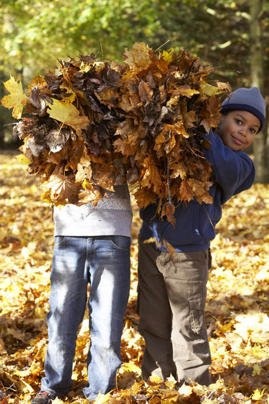 西方人,儿童,两个人,伙伴,朋友,站,竖图,室外,白天,正面,友谊,纯洁,植物,帽子,叶子,欧洲,非洲,黑人,欧洲人,一堆,许多,握,阴影,堆叠,堆积,服装,光线,影子,枯叶,落叶,很多,拿,拿着,注视,休闲装,树,树木,小孩,骑,衣服,绿色,阳光,自然,观察,看,扛,站着,休闲,休闲服,可爱,童年,童趣,握着,遮,遮掩,服饰,生长,成长,观看,堆,察看,掩盖,遮挡,关注,童真,烂漫,无邪,遮盖,棉帽,掩饰,扛在肩上,骑在肩上,天真,友情,男孩,男人,男性,白种人,非洲人,叶,叶片,站立,彩图,全身,男生
