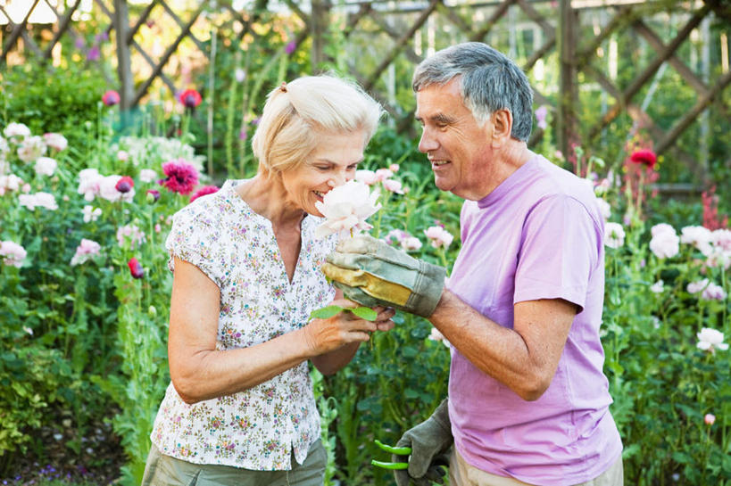 西方人,老年人,两个人,家庭,夫妻,栏杆,站,笑,微笑,露齿笑,横图,室外,白天,正面,爱情,幸福,纯洁,热情,安全,玫瑰,欧洲,欧洲人,握,服装,盛开,栅栏,篱笆,围栏,玫瑰花,防护,浪漫,拿,花蕾,拿着,注视,休闲装,护栏,花,花瓣,花朵,鲜花,衣服,手套,花苞,花蕊,观察,看,站着,休闲,温暖,温馨,一家人,休闲服,恩爱,握着,恋人,服饰,观看,保护,和睦,察看,关注,保险,感动,保全,周全,安稳,安定,尊敬,防护手套,平安,天真,刺玫花,徘徊花,老年男性,老年女性,男人,男性,女人,女性,白种人,夫妇,情侣,站立,半身,彩图,伴侣,融洽