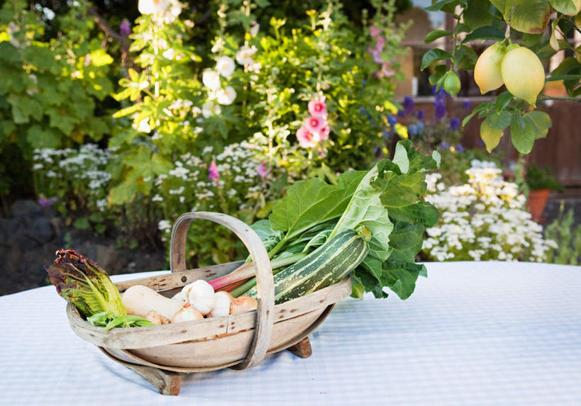 无人,交叉,横图,俯视,室外,特写,白天,植物,餐桌,桌子,竹子,蔬菜,一堆,阴影,堆叠,堆积,竹制,新鲜,盛开,编织,光线,布料,篮子,影子,莴苣,莴笋,食品,草药,药草,花蕾,布纹,中药,桌布,花,花瓣,花朵,鲜花,树,树木,食物,一个,绿色,白色,阳光,自然,餐巾,竹篮,台布,花苞,花蕊,有机食品,绿色食品,生长,单个,成长,餐台,竹条,堆,交织,竹制品,药材,中草药,大黄,中药材,本草,香笋,千金菜,穿插,川军,蜀大黄,熟大黄,彩图,高角度拍摄