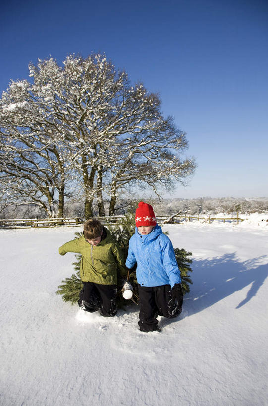 西方人,儿童,两个人,家庭,走,竖图,室外,白天,正面,纯洁,雪,植物,大雪,帽子,欧洲,欧洲人,阴影,服装,光线,影子,积雪,雪景,冬季,冬天,注视,树,树木,小孩,衣服,蓝色,绿色,蓝天,天空,阳光,自然,天,观察,看,温暖,温馨,一家人,寒冷,可爱,童年,童趣,服饰,生长,晴朗,成长,观看,羽绒服,保暖,和睦,察看,御寒,关注,童真,烂漫,无邪,万里无云,编织帽,严寒,冬装,天真,男孩,男人,男性,女孩,女人,女性,白种人,晴空,晴空万里,步行,散步,走路,彩图,全身,融洽,男生,女生