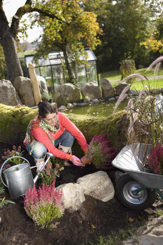 西方人,两个人,伙伴,朋友,站,蹲,竖图,俯视,室外,白天,友谊,草地,草坪,树林,植物,欧洲,欧洲人,握,阴影,服装,盛开,光线,壶,影子,拿,花蕾,洒水壶,拿着,注视,休闲装,车,水壶,草,花,花瓣,花朵,鲜花,树,树木,衣服,绿色,阳光,自然,手推车,交通工具,花苞,花蕊,观察,看,站着,休闲,休闲服,握着,服饰,独轮车,生长,成长,观看,察看,关注,载具,浇水壶,友情,年轻女性,女人,女性,白种人,蹲着,站立,彩图,高角度拍摄,全身