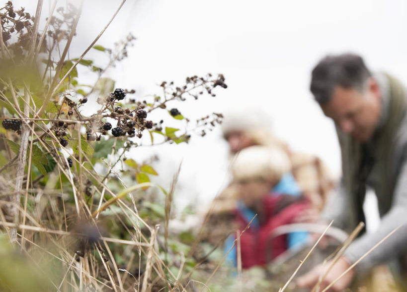 西方人,儿童,中年人,三个人,家庭,夫妻,母亲,父亲,女儿,站,横图,室外,白天,仰视,爱情,纯洁,草地,草坪,植物,欧洲,欧洲人,弯腰,握,阴影,服装,朦胧,模糊,光线,影子,浪漫,拿,拿着,注视,休闲装,草,小孩,衣服,绿色,天空,阳光,天,低头,观察,看,站着,休闲,温暖,温馨,父女,母女,三口之家,一家人,休闲服,恩爱,父爱,可爱,母爱,童年,童趣,握着,恋人,服饰,晴朗,观看,和睦,察看,关注,童真,烂漫,无邪,万里无云,弯身,天真,男人,男性,女孩,女人,女性,中年男性,中年女性,白种人,孩子,夫妇,情侣,晴空,晴空万里,站立,半身,彩图,低角度拍摄,伴侣,融洽,女生