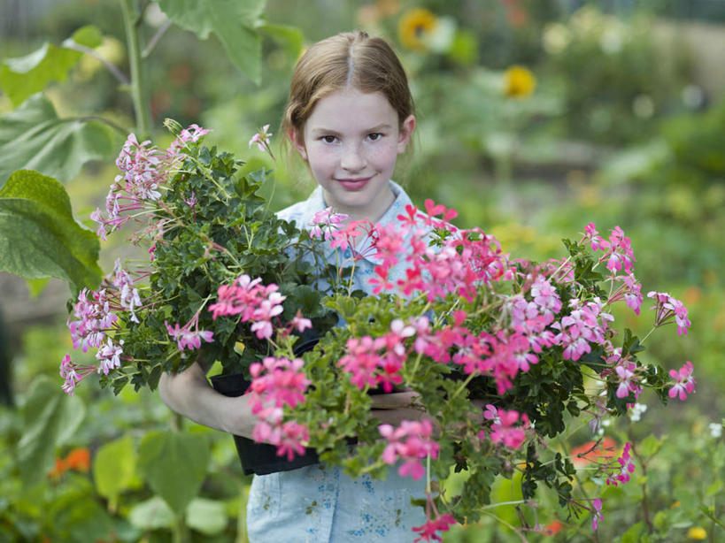 西方人,儿童,一个人,站,抱,笑,微笑,横图,室外,白天,正面,纯洁,草地,草坪,植物,欧洲,欧洲人,仅一个女性,仅一个人,握,阴影,服装,朦胧,模糊,盛开,光线,影子,拿,花蕾,拿着,注视,休闲装,草,花,花瓣,花朵,鲜花,树,树木,小孩,衣服,蓝色,绿色,阳光,自然,花苞,花蕊,观察,看,站着,仅一个小孩,休闲,休闲服,可爱,童年,童趣,握着,服饰,生长,成长,抱着,观看,察看,搂着,关注,童真,烂漫,无邪,天真,女孩,女人,女性,白种人,孩子,搂,搂抱,站立,半身,彩图,女生