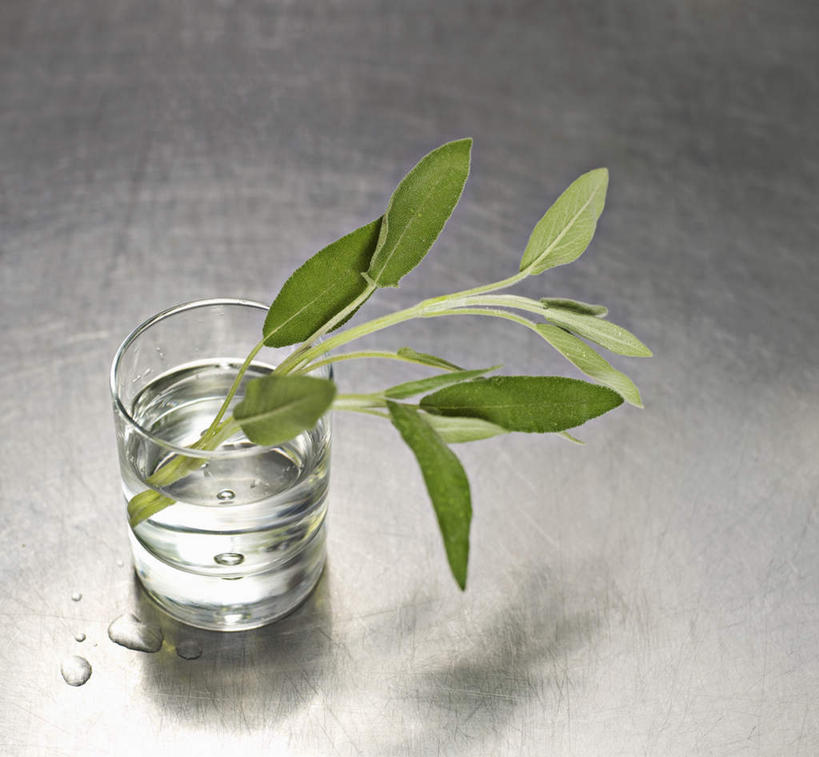 无人,横图,俯视,室内,特写,白天,水,桌面,桌子,杯子,叶子,木制,液体,绿叶,饮用水,玻璃制品,一个,木制品,水杯,矿泉水,嫩叶,摄影,影棚,单个,蒸馏水,叶,叶片,玻璃杯,彩图,高角度拍摄,影棚拍摄,拍摄