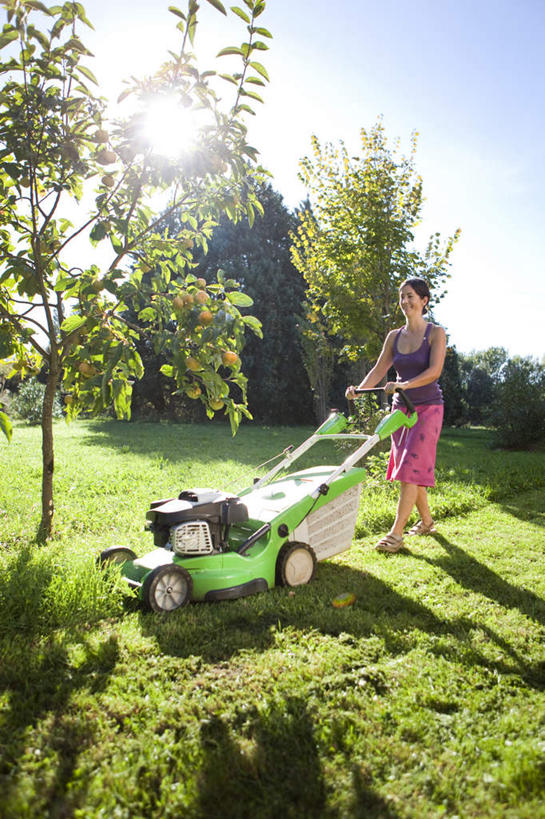 西方人,一个人,走,竖图,室外,白天,正面,草地,草坪,植物,欧洲,欧洲人,仅一个女性,仅一个人,握,阴影,服装,光线,工具,影子,拿,拿着,注视,休闲装,草,树,树木,衣服,蓝色,绿色,蓝天,天空,阳光,自然,天,观察,看,仅一个中年女性,休闲,休闲服,器械,握着,服饰,一架,生长,晴朗,成长,观看,割草机,察看,切割,关注,锄草,农具,万里无云,耕具,修整,女人,女性,中年女性,白种人,晴空,晴空万里,步行,散步,走路,彩图,全身