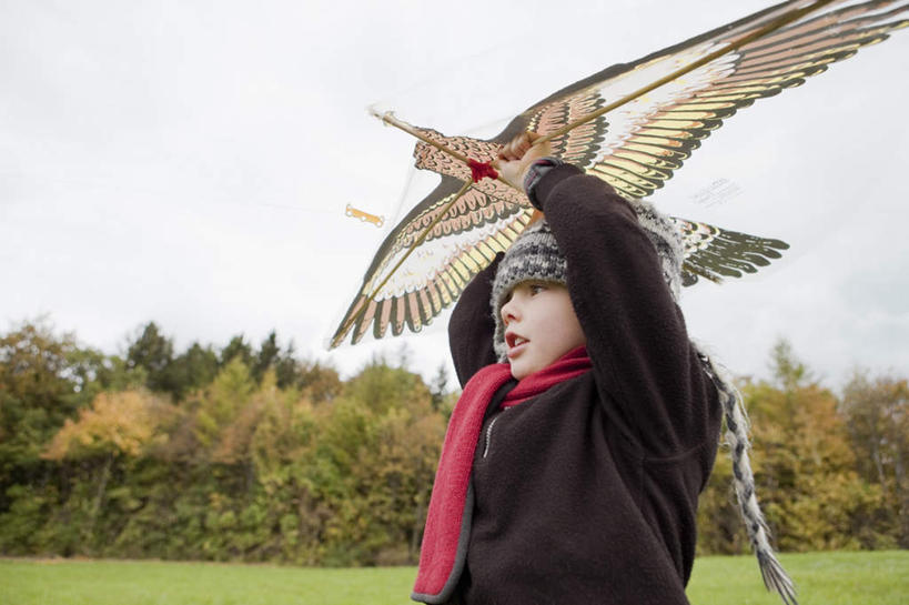 西方人,儿童,一个人,站,举,横图,室外,白天,正面,纯洁,草地,草坪,植物,帽子,欧洲,欧洲人,仅一个男性,仅一个人,一条,握,阴影,服装,装饰,光线,影子,云,云朵,拿,云彩,拿着,注视,休闲装,草,树,树木,一个,小孩,衣服,红色,蓝色,绿色,黑色,白云,蓝天,天空,阳光,自然,风筝,围巾,天,观察,看,托,站着,仅一个小孩,休闲,温暖,休闲服,可爱,童年,童趣,放风筝,握着,服饰,生长,晴朗,单个,成长,围脖,观看,保暖,华丽,点缀,察看,御寒,纸鸢,关注,童真,烂漫,无邪,放鹞子,鹞,鹞子,鸢,木鸢,衬托,美观,雅致,雅观,一顶,编织帽,天真,男孩,男人,男性,白种人,孩子,晴空,举起,举手,举着,向上举,向上伸,向上托,站立,半身,彩图,男生