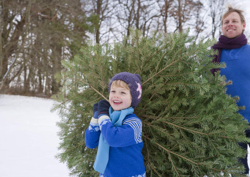 西方人,儿童,中年人,两个人,家庭,父亲,儿子,走,笑,微笑,露齿笑,横图,室外,白天,正面,纯洁,雪,植物,大雪,帽子,欧洲,欧洲人,握,服装,装饰,积雪,雪景,冬季,冬天,圣诞树,拿,拿着,注视,休闲装,树,树木,小孩,衣服,蓝色,绿色,自然,围巾,观察,看,休闲,温暖,温馨,父子,一家人,休闲服,父爱,寒冷,可爱,童年,童趣,握着,服饰,生长,成长,围脖,观看,保暖,华丽,点缀,和睦,察看,御寒,关注,童真,烂漫,无邪,无边帽,衬托,美观,雅致,雅观,一顶,严寒,天真,男孩,男人,男性,中年男性,白种人,孩子,步行,散步,走路,半身,彩图,融洽,男生