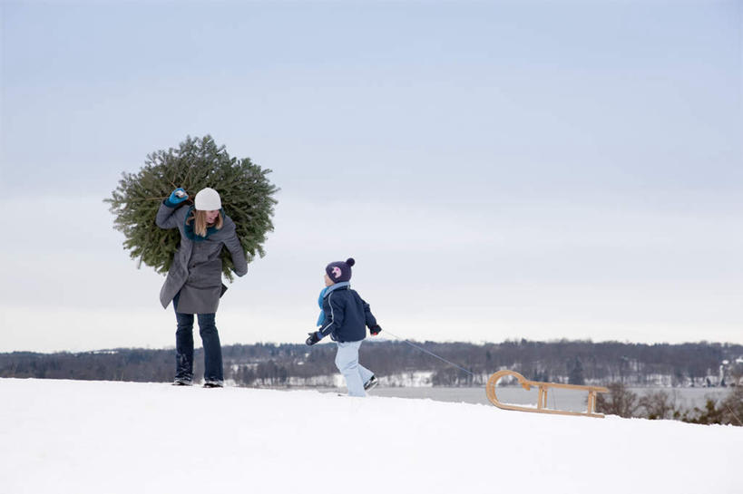 西方人,儿童,中年人,两个人,家庭,母亲,儿子,走,横图,室外,白天,正面,纯洁,雪,植物,大雪,帽子,欧洲,欧洲人,握,服装,装饰,积雪,雪景,冬季,冬天,圣诞树,拿,拿着,注视,休闲装,树,树木,小孩,衣服,绿色,自然,围巾,观察,看,休闲,温暖,温馨,母子,一家人,休闲服,寒冷,可爱,母爱,童年,童趣,握着,服饰,生长,成长,围脖,观看,保暖,华丽,点缀,和睦,察看,御寒,关注,童真,烂漫,无邪,无边帽,衬托,美观,雅致,雅观,一顶,严寒,天真,男孩,女人,女性,中年女性,白种人,孩子,步行,散步,走路,彩图,全身,融洽,男生