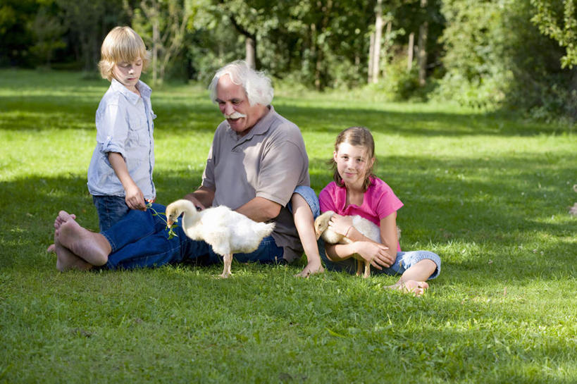 西方人,儿童,老年人,三个人,家庭,祖父,坐,跪,抱,横图,室外,白天,正面,纯洁,草地,草坪,树林,植物,鸟,野生动物,天鹅,欧洲,欧洲人,握,阴影,服装,光线,鸟类,影子,拿,拿着,注视,休闲装,草,树,树木,一只,小孩,衣服,绿色,白色,阳光,自然,动物,观察,看,休闲,温暖,温馨,一家人,休闲服,可爱,童年,童趣,握着,服饰,生长,爷爷,成长,抱着,观看,祖孙,和睦,察看,搂着,关注,童真,烂漫,无邪,外孙女,外公,外祖父,外孙,外孙子,天真,老年男性,男孩,男人,男性,女孩,女人,女性,白种人,孩子,孙女,孙子,鹄,跪着,搂,搂抱,坐着,彩图,全身,融洽,男生,女生