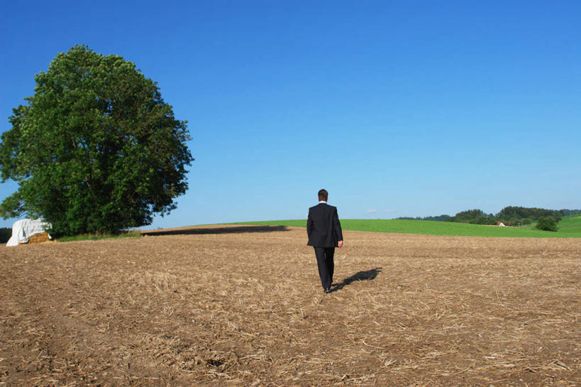 西方人,一个人,商务人士,商务男性,走,横图,室外,白天,衬衫,草地,草坪,植物,欧洲,欧洲人,仅一个男性,仅一个人,阴影,套装,光线,影子,草,树,树木,仅一个年轻男性,背面,蓝色,绿色,蓝天,天空,阳光,自然,天,生长,晴朗,成长,商务装,工薪阶层,万里无云,男人,男性,年轻男性,白种人,白领,上班族,晴空,晴空万里,步行,散步,走路,彩图,全身,衬衣