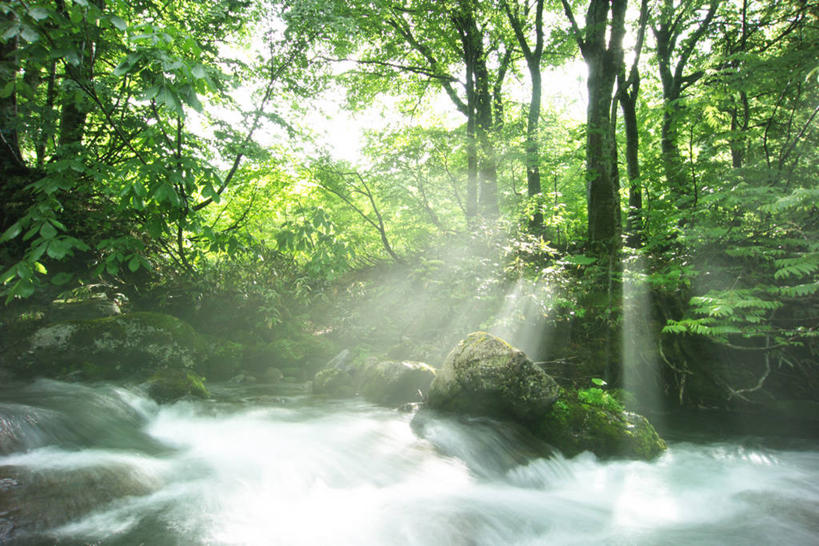 无人,横图,室外,白天,正面,旅游,度假,草地,草坪,河流,石头,美景,树林,水,植物,日本,亚洲,阴影,光线,石子,影子,河水,景观,水流,青苔,苔藓,娱乐,草,树,树木,绿色,天空,小溪,阳光,自然,天,溪水,享受,休闲,景色,放松,生长,成长,自然风光,东亚,本州,本州岛,日本国,东北地方,山形,山形县,石块,岩石,彩图,东田川郡,庄内町