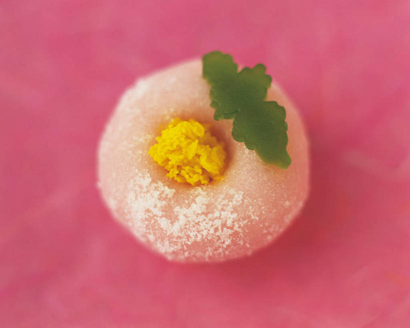 点心,无人,横图,俯视,室内,特写,白天,叶子,阴影,粉色背景,反射,影子,和果子,食品,甜点,甜品,绿叶,小吃,食物,糕点,甜食,日式,嫩叶,摄影,影棚,叶,叶片,彩图,高角度拍摄,影棚拍摄,拍摄,日本小吃