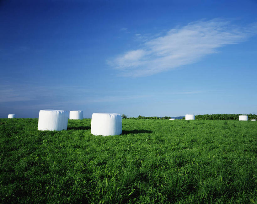 无人,农场,横图,室外,白天,正面,旅游,度假,畜牧业,牧场,草地,草坪,美景,植物,北海道,日本,亚洲,阴影,光线,影子,景观,云,云朵,干草,云彩,娱乐,草,蓝色,绿色,白云,蓝天,天空,阳光,自然,草垛,天,享受,休闲,景色,放松,晴朗,自然风光,东亚,畜牧,日本国,北海道地方,北海道岛,牧业,道北,干草垛,晴空,彩图,留萌振兴局,振兴局,羽幌町