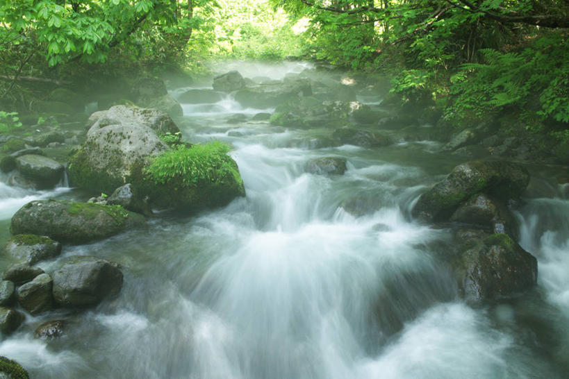 无人,横图,室外,白天,正面,旅游,度假,河流,石头,美景,水,植物,日本,亚洲,阴影,飞溅,朦胧,模糊,溅,光线,石子,液体,影子,河水,景观,水滴,水流,青苔,苔藓,娱乐,水珠,树,树木,绿色,小溪,阳光,自然,溪水,享受,休闲,景色,放松,生长,成长,喷洒,自然风光,东亚,本州,本州岛,日本国,东北地方,山形,山形县,石块,岩石,彩图,东田川郡,庄内町
