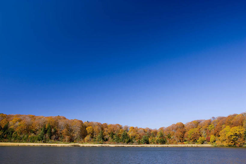 无人,横图,室外,白天,正面,旅游,度假,湖,湖泊,美景,秋季,森林,树林,水,植物,叶子,秋田县,日本,亚洲,阴影,波纹,光线,影子,湖面,景观,水流,水面,枯叶,落叶,涟漪,娱乐,树,树木,蓝色,绿色,倒影,蓝天,水纹,天空,阳光,自然,波浪,湖水,天,享受,休闲,景色,放松,生长,晴朗,成长,倒映,自然风光,东亚,本州,万里无云,本州岛,日本国,秋田,水晕,东北地方,反照,叶,叶片,晴空,晴空万里,秋,秋天,彩图,鹿角市