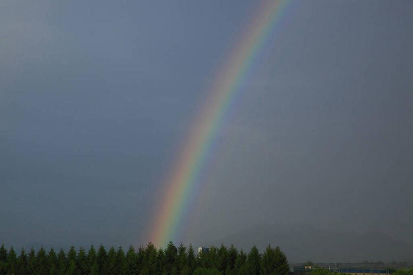 无人,横图,室外,白天,正面,旅游,度假,彩虹,美景,森林,树林,植物,秋田县,日本,亚洲,阴影,光线,影子,景观,娱乐,树,树木,蓝色,绿色,蓝天,天空,阳光,自然,天,享受,休闲,景色,放松,生长,晴朗,成长,自然风光,东亚,本州,万里无云,本州岛,日本国,秋田,东北地方,虹,虹桥,七彩虹,晴空,晴空万里,天虹,彩图,鹿角市