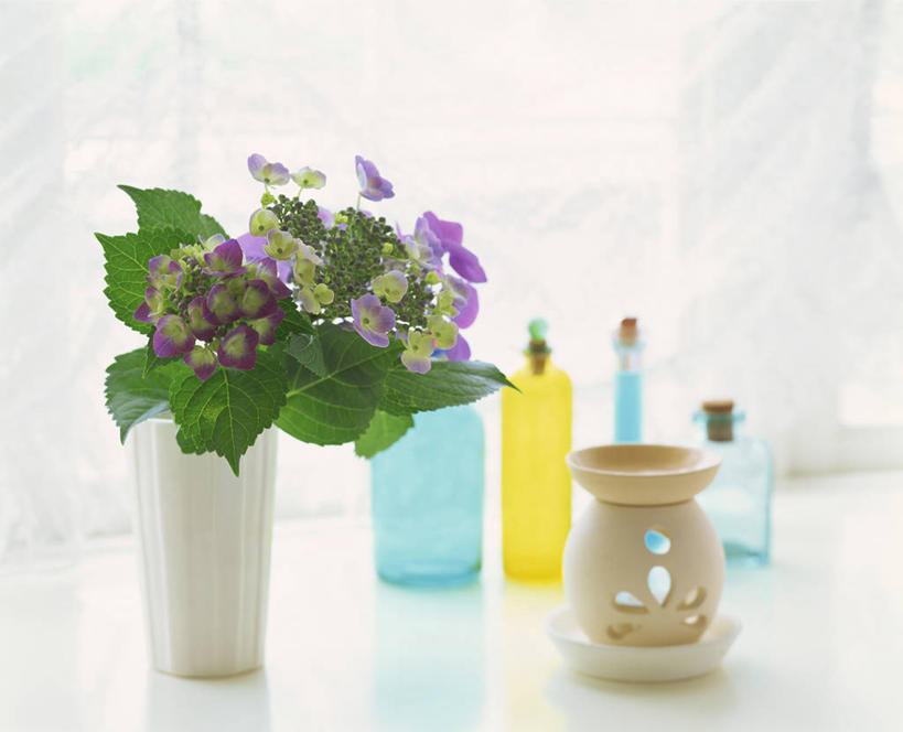 无人,横图,室内,特写,白天,正面,窗户,窗帘,桌面,桌子,花瓶,阴影,朦胧,模糊,装饰,盛开,反射,香炉,影子,陶瓷,陶瓷制品,花蕾,玻璃窗,玻璃制品,花,花瓣,花朵,鲜花,一个,帘子,玻璃瓶,瓶子,花苞,花蕊,祈祷,四个,遮阳,许愿,宗教,信仰,单个,华丽,修饰,祈求,祭奠,祭祀,点缀,祭坛,衬托,美观,雅致,雅观,敬拜,彩图