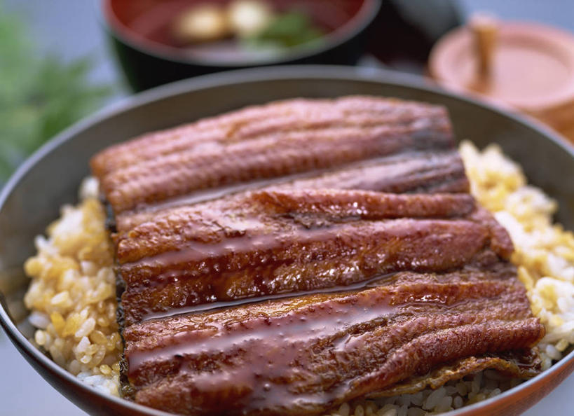 米饭,鳗鱼,无人,横图,俯视,室内,特写,白天,烹饪,鳗鲡,阴影,朦胧,模糊,反射,影子,陶瓷,肉,鱼肉,日本料理,料理,食品,陶瓷制品,饭,菜肴,美食,肉类,食物,两个,黑色,容器,碗,日式料理,日式,鳗鱼饭,佳肴,储藏,五谷,储存,肉食,河鳗,白鳗,青鳝,风馒,白鳝,彩图,高角度拍摄,贮存