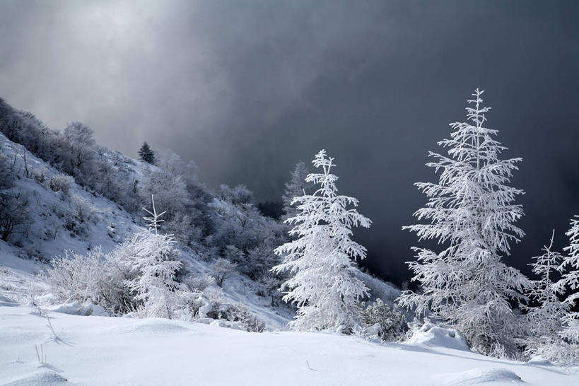 无人,公园,横图,室外,白天,正面,旅游,度假,美景,雪,植物,大雪,长野县,日本,亚洲,积雪,景观,乌云,雪景,云,阴天,云朵,冬季,冬天,云彩,娱乐,树,树木,绿色,天空,自然,天,享受,休闲,景色,放松,寒冷,生长,成长,昏暗,阴沉,自然风光,雾凇,东亚,本州,本州岛,日本国,中部地方,山梨,山梨县,长野,严寒,彩图,国定公园,八岳中信高原国定公园