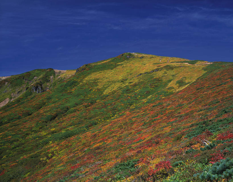 无人,横图,室外,白天,正面,旅游,度假,草地,草坪,火山,美景,山,山脉,植物,秋田县,日本,亚洲,阴影,光线,影子,景观,山峰,山峦,娱乐,草,蓝色,绿色,蓝天,天空,阳光,自然,群山,天,享受,休闲,景色,放松,晴朗,自然风光,东亚,本州,万里无云,本州岛,日本国,宫城,宫城县,秋田,岩手,岩手县,东北地方,栗驹山,晴空,晴空万里,彩图