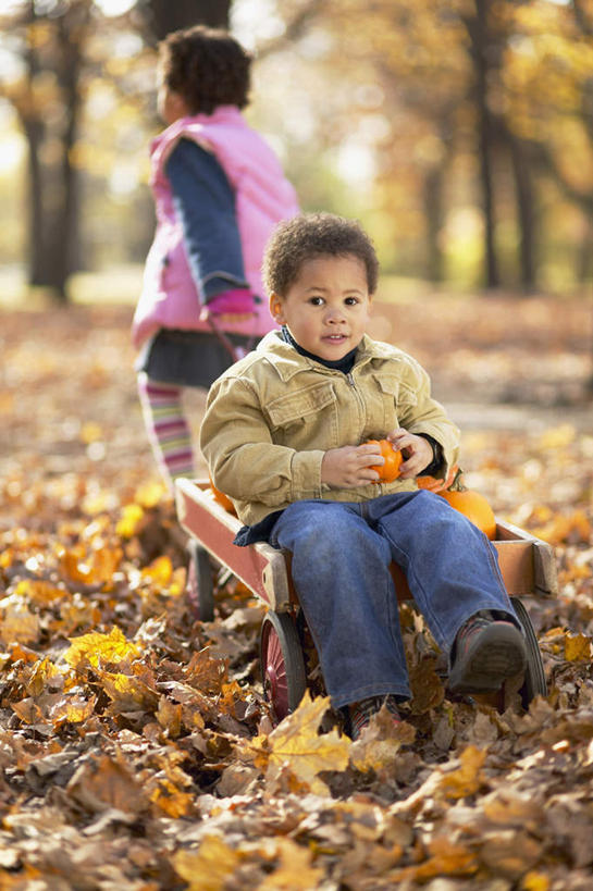 西方人,儿童,背部,两个人,家庭,坐,走,竖图,室外,白天,正面,纯洁,秋季,南瓜,蔬菜,叶子,欧洲,非洲,黑人,欧洲人,阴影,服装,朦胧,模糊,新鲜,光线,影子,金瓜,食品,枯叶,落叶,拎,注视,休闲装,番瓜,车,食物,小孩,衣服,阳光,手推车,交通工具,观察,看,休闲,温暖,温馨,一家人,休闲服,可爱,童年,童趣,服饰,有机食品,绿色食品,观看,麦瓜,倭瓜,和睦,察看,关注,载具,童真,烂漫,无邪,天真,男孩,男人,男性,女孩,女人,女性,非洲人,叶,叶片,秋,秋天,步行,散步,走路,坐着,彩图,全身,融洽,男生,女生,拎着