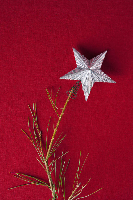 蝶泳,无人,俯视,室内,特写,白天,植物,桌面,桌子,圣诞节,节日,庆祝,木制,布料,星星,枝条,布纹,文化,桌布,树,树木,树枝,一个,餐巾,木制品,台布,庆典,星形,单个,纪念,五角形,虬枝,枝杈,五角星,餐桌布,彩图,高角度拍摄