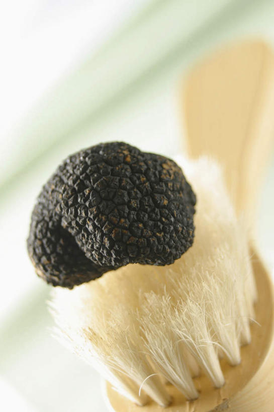 无人,竖图,俯视,室内,特写,白天,蔬菜,一把,阴影,朦胧,模糊,新鲜,反射,影子,菌菇,食品,松露,菌类,食物,一个,刷子,食用菌,有机食品,绿色食品,单个,沐浴刷,清洁用具,洗浴用具,黑松露,彩图,高角度拍摄