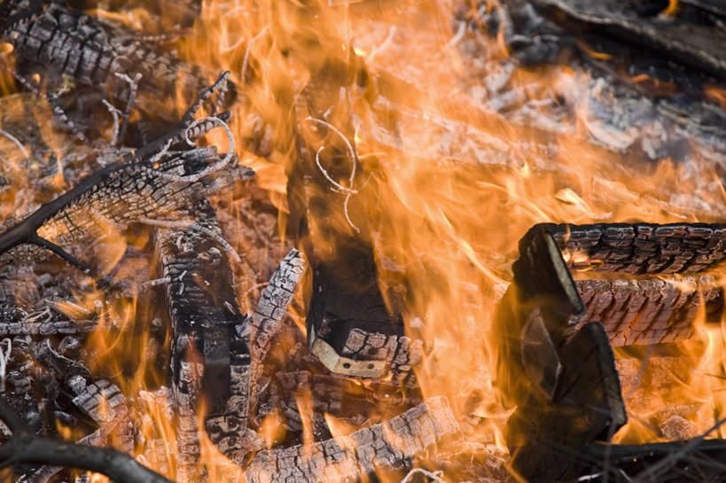 无人,横图,室外,白天,正面,热情,森林,树林,植物,火,澳大利亚,火焰,燃烧,树,树木,绿色,自然,生长,成长,火灾,灾难,大洋洲,澳洲,南方大陆,澳大利亚联邦,维多利亚,维多利亚州,劫难,磨难,灾祸,彩图,灾害