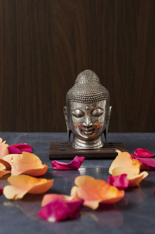 无人,闭眼,竖图,室内,特写,白天,正面,爱情,幸福,纯洁,热情,桌子,玫瑰,雕塑,阴影,节日,艺术,装饰,反射,雕刻,雕像,影子,玫瑰花,浪漫,花蕾,文化,花,花瓣,鲜花,工艺品,花苞,花蕊,祈祷,健康,温暖,温馨,恩爱,许愿,宗教,信仰,纪念,祈求,美术,和睦,主题,感动,陈列,功能,美学,尊敬,平安,天真,刺玫花,徘徊花,闭眼睛,闭着眼,闭着眼睛,彩图,融洽