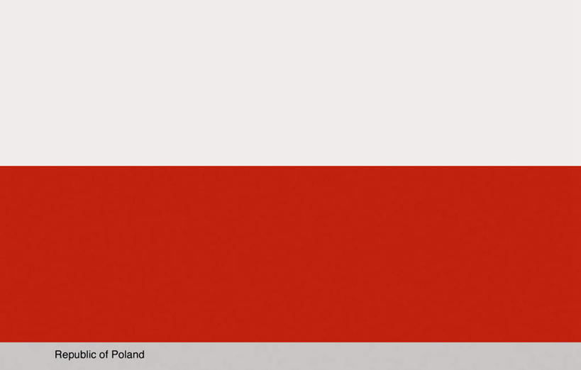 无人,横图,插画,室内,白天,正面,数码,科技,旗帜,国旗,欧洲,波兰,一面,阴影,光线,网络,格子,影子,高光,几何,计算机图形,合成,图画,画,一个,红色,白色,单个,电脑合成图,数码合成图,漫画,中欧,写实,具体,具象,波兰共和国,旗,彩图