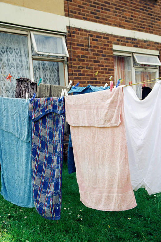 无人,竖图,室外,白天,正面,草地,草坪,植物,窗户,衣架,一排,许多,吊挂,悬挂,整齐,纺织物,墙,挂,玻璃窗,墙壁,墙面,草,排列,绿色,毛巾,清洁,保暖,队列,透气,防水,储水,耐磨,吸水,挂衣架,晾衣架,彩图