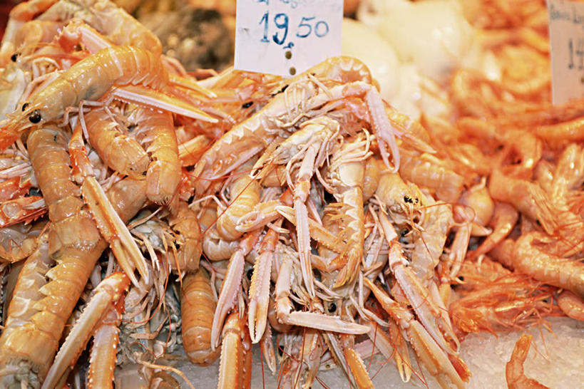 海鲜,龙虾,无人,商店,横图,俯视,室内,特写,白天,购物,消费,超市,一堆,许多,堆叠,堆积,标签,标志,数字,文字,字符,虾,很多,标识,水产,海洋生物,价格,金融,百货,阿拉伯数字,堆,水生动物,海产品,水生物,选购,贸易,百货公司,海底动物,价钱,血拼,代价,超级市场,大卖场,彩图,高角度拍摄,购物商场,购物中心,商业中心