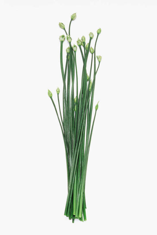 无人,竖图,俯视,室内,特写,白天,白色背景,植物,桌面,桌子,蔬菜,新鲜,木制,葱,食品,草药,药草,中药,食物,绿色,自然,木制品,摄影,有机食品,绿色食品,影棚,生长,成长,细香葱,香葱,药材,中草药,中药材,本草,彩图,高角度拍摄,影棚拍摄,拍摄
