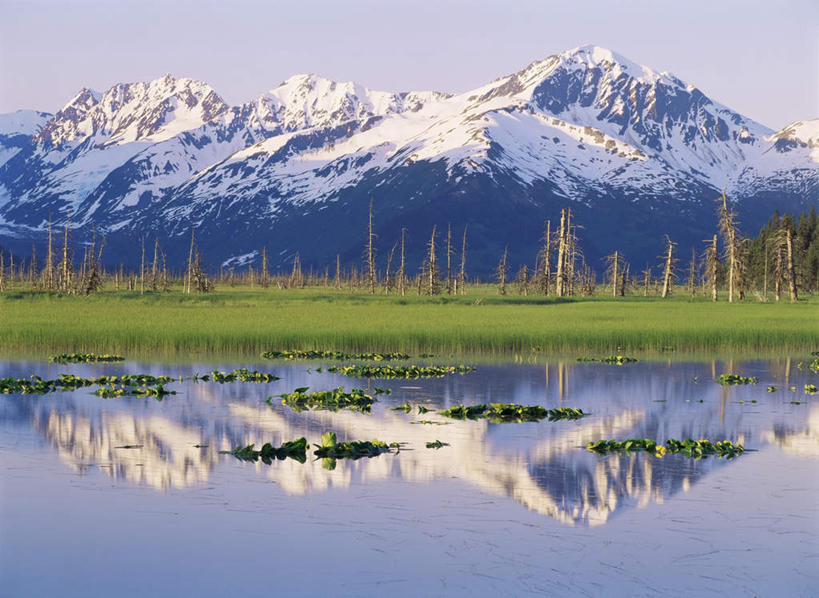 无人,横图,室外,白天,正面,旅游,度假,草地,草坪,美景,山,雪,雪山,植物,大雪,美国,阴影,光线,影子,冰,积雪,景观,山峰,雪景,冬季,冬天,山峦,娱乐,草,树,树木,蓝色,绿色,蓝天,天空,阳光,自然,天,享受,休闲,景色,放松,寒冷,生长,晴朗,成长,冰冷,北美,北美洲,自然风光,美洲,阿拉斯加,阿拉斯加州,万里无云,安克雷奇,北亚美利加洲,亚美利加洲,严寒,冰凉,酷寒,凛冽,凛凛,极冷,最后的边疆,午夜阳光之地,自治市,晴空,晴空万里,彩图