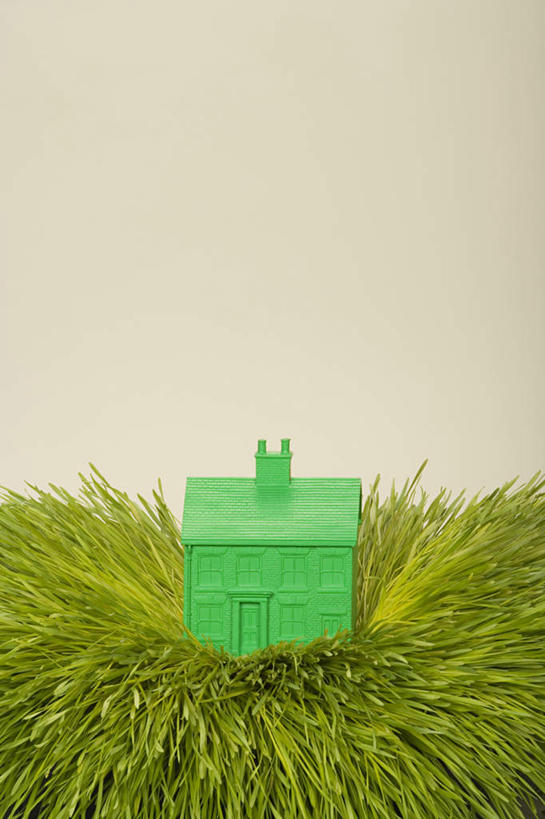 无人,家,竖图,俯视,室内,特写,白天,背景,草地,草坪,植物,阴影,立体,反射,空间,影子,房屋,屋子,楼房,住宅,草,绿色,白色,模型,规划,摄影,影棚,一栋,直观,建筑模型,建筑设计,设计,彩图,高角度拍摄,影棚拍摄,拍摄,房子