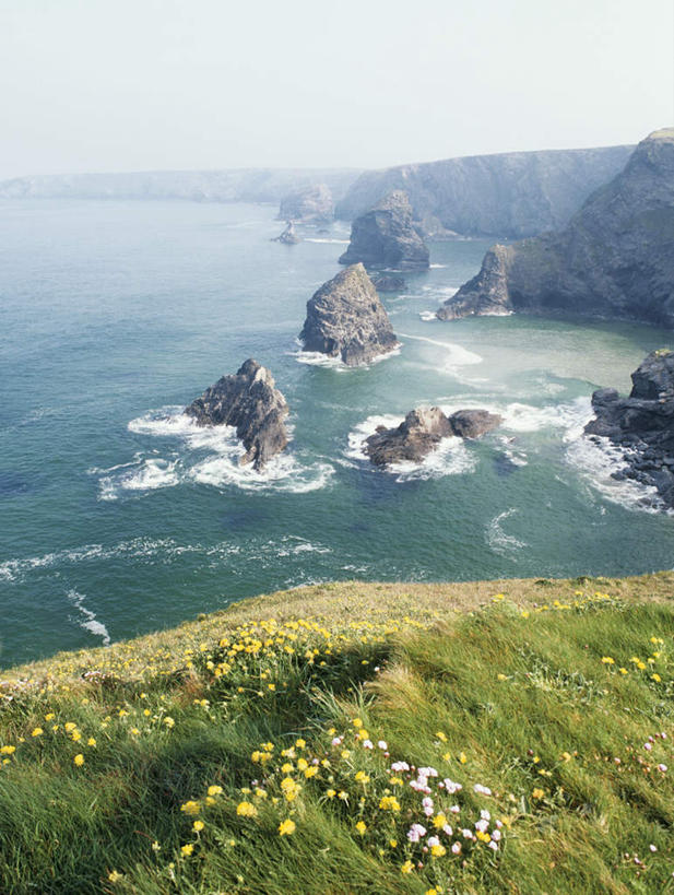 无人,竖图,俯视,航拍,室外,白天,旅游,度假,草地,草坪,海浪,海洋,花海,花圃,美景,沙滩,山,山脉,植物,雾,宠物,猫,叶子,朦胧,模糊,盛开,沙子,海岸,景观,浪花,山峰,水平线,云,云朵,辽阔,短毛猫,海平线,沙地,山峦,花蕾,云彩,娱乐,草,花,花瓣,花朵,花卉,鲜花,蓝色,绿色,白云,蓝天,天空,自然,海水,动物,花丛,花束,花田,群山,天,花苞,花蕊,享受,休闲,广阔,景色,放松,可爱,晴朗,一望无际,迷雾,鸟瞰,自然风光,猫咪,海景,无边无际,一马平川,康瓦尔帝王猫,康瓦尔王猫,康沃尔王猫,科尼什猫,科尼斯雷克斯猫,大海,风浪,海,海水的波动,海滩,近岸浪,涌浪,大雾,晴空,彩图,高角度拍摄,水天相接,水天一线