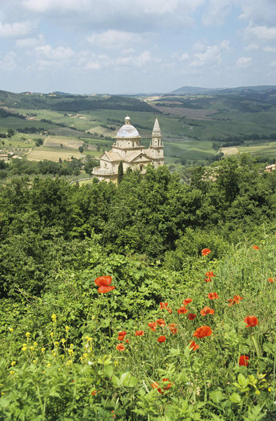 无人,教堂,竖图,俯视,室外,白天,旅游,度假,植物,标志建筑,地标,建筑,罂粟,意大利,欧洲,阴影,节日,盛开,光线,影子,云,云朵,草药,花蕾,云彩,文化,娱乐,建设,中药,花,花瓣,花朵,鲜花,红色,蓝色,白云,蓝天,天空,阳光,天,花苞,花蕊,祈祷,享受,休闲,健康,旅游胜地,放松,许愿,宗教,信仰,晴朗,纪念,祈求,毒品,托斯卡纳,南欧,药材,中草药,信念,中药材,本草,意大利共和国,止痛,镇静,安眠,红罂粟,托斯卡纳大区,蒙塔奇诺,平安,晴空,罂粟花,彩图,高角度拍摄,大教堂,礼拜堂