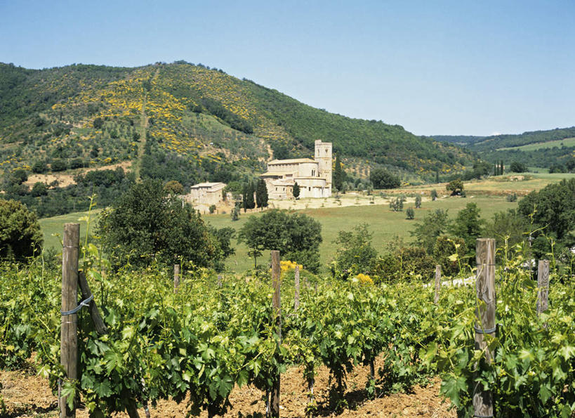 无人,横图,俯视,室外,白天,旅游,度假,美景,山,山脉,葡萄,意大利,欧洲,一排,许多,阴影,整齐,光线,影子,景观,山峰,山峦,娱乐,架子,排列,蓝色,蓝天,天空,阳光,自然,群山,天,享受,休闲,景色,放松,晴朗,支撑,固定,托斯卡纳,队列,南欧,自然风光,葡萄架,万里无云,意大利共和国,托斯卡纳大区,蒙塔奇诺,晴空,晴空万里,山葫芦,蒲桃,草龙珠,彩图,高角度拍摄