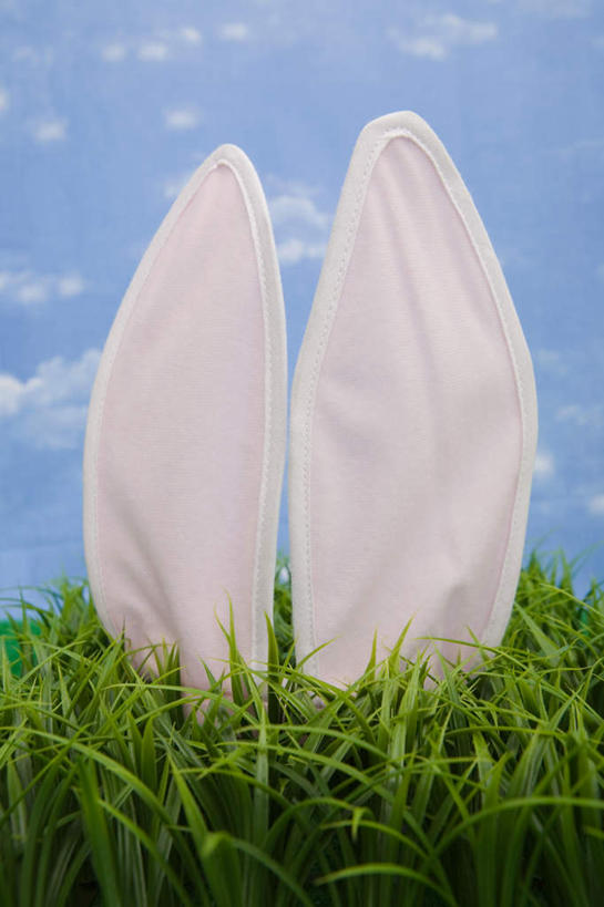 耳朵,无人,竖图,室内,特写,白天,正面,游戏,草地,草坪,植物,玩具,复活节,节日,庆祝,兔子,玩偶,云,云朵,玩,云彩,文化,娱乐,草,一只,蓝色,绿色,白色,白云,蓝天,天空,天,庆典,休闲,益智,摄影,毛绒玩具,影棚,晴朗,纪念,安慰,发泄,消遣,宣泄,耳,耳部,晴空,玩耍,嬉戏,彩图,影棚拍摄,拍摄