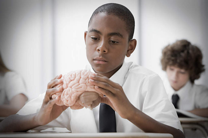 西方人,儿童,三个人,伙伴,朋友,坐,横图,室内,白天,正面,制服,友谊,纯洁,窗户,桌子,书籍,欧洲,非洲,黑人,欧洲人,大脑,握,服装,朦胧,模糊,墙,记事本,领带,拿,拿着,注视,书桌,玻璃窗,墙壁,墙面,小孩,衣服,本子,笔记本,课桌,观察,看,教室,同学,校服,可爱,童年,童趣,握着,服饰,观看,察看,课堂,象征,衣着,庄重,器官,校友,穿着,关注,沟壑,身份,童真,烂漫,无邪,小脑,脑干,学生服,正式,地位,同窗,学友,大脑皮层,端脑,沟,灰质,回,间脑,衣饰,天真,友情,男孩,男人,男性,白种人,非洲人,书,图书,坐着,半身,彩图,男生