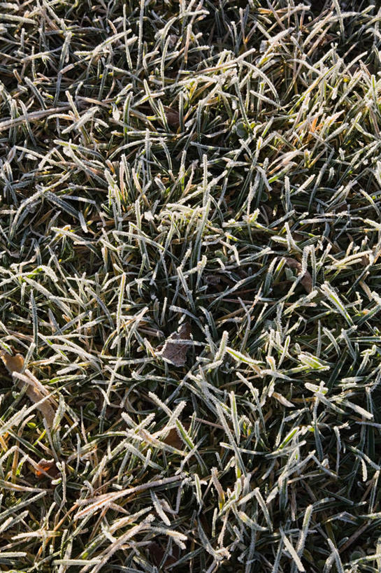 无人,竖图,俯视,室外,白天,草地,草坪,美景,秋季,植物,覆盖,阴影,光线,影子,景观,霜,草,绿色,白色,阳光,自然,景色,自然风光,遮盖,笼罩,笼盖,秋,秋天,彩图,高角度拍摄