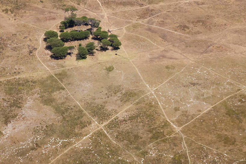 无人,横图,俯视,航拍,室外,白天,旅游,度假,美景,沙漠,植物,非洲,南非,景观,首都,娱乐,树,树木,绿色,自然,享受,休闲,景色,放松,生长,成长,鸟瞰,自然风光,开普敦,省会,阿非利加洲,立法首都,南非共和国,西开普省,大漠,砂漠,彩图,高角度拍摄
