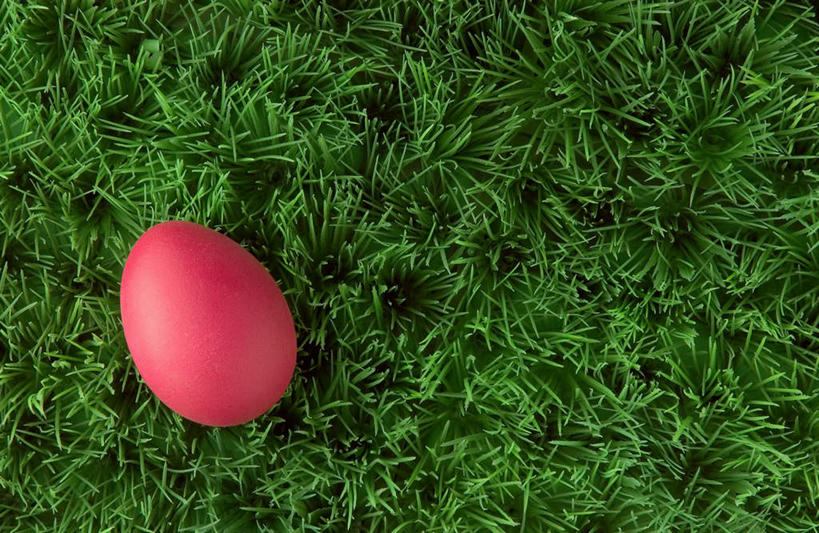 无人,横图,俯视,室内,特写,白天,草地,草坪,植物,复活节,节日,庆祝,蛋,鸡蛋,文化,草,一个,红色,绿色,庆典,摄影,影棚,单个,纪念,彩蛋,复活节彩蛋,卵,彩图,高角度拍摄,影棚拍摄,拍摄