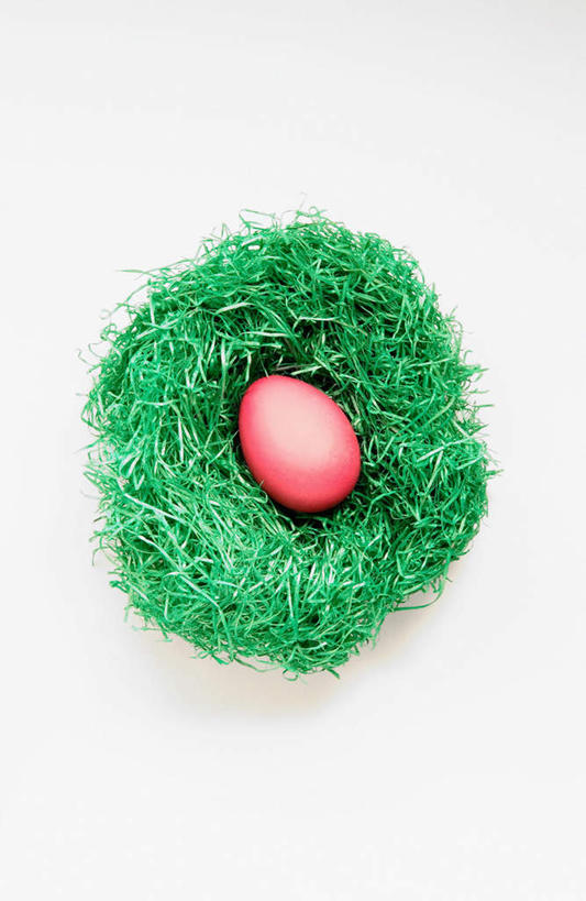 无人,竖图,俯视,室内,特写,白天,白色背景,草地,植物,桌面,桌子,复活节,节日,庆祝,木制,鸟巢,蛋,鸡蛋,文化,草,一个,红色,绿色,木制品,庆典,摄影,影棚,单个,纪念,彩蛋,复活节彩蛋,卵,彩图,高角度拍摄,影棚拍摄,拍摄