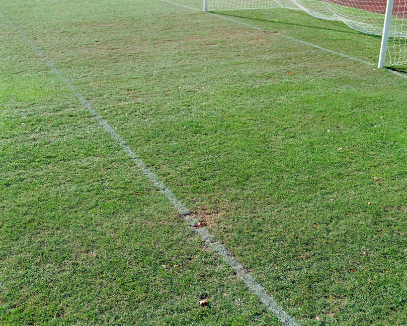 无人,足球场,横图,俯视,室外,特写,白天,草地,草坪,植物,朦胧,模糊,球门,线条,草,绿色,白色,绿茵场,彩图,高角度拍摄,足球比赛场地