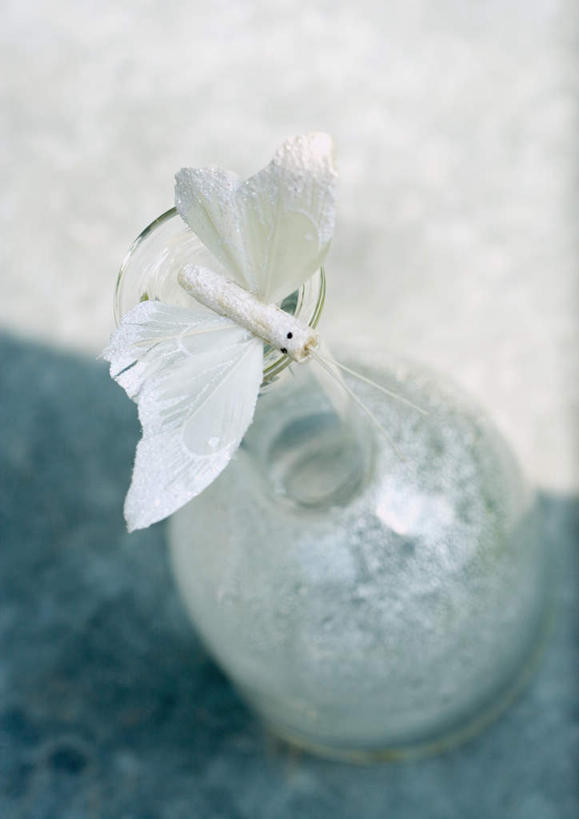 无人,竖图,俯视,室外,白天,道路,路,公路,蝴蝶,一头,阴影,装饰,光线,昆虫,影子,交通,玻璃制品,白色,阳光,动物,玻璃瓶,瓶子,饰品,益虫,马路,彩图,高角度拍摄