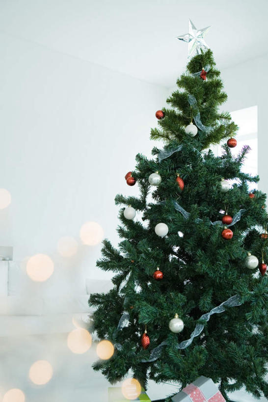 无人,竖图,室内,白天,正面,纯洁,植物,窗户,礼盒,礼物,圣诞节,节日,庆祝,纸盒,墙,圣诞树,文化,玻璃窗,墙壁,墙面,盒子,树,树木,绿色,自然,包装盒,礼品盒,庆典,可爱,童年,童趣,礼品,生长,成长,纪念,童真,烂漫,无邪,天真,彩图